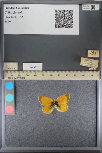 Media type: image;   Entomology 193830